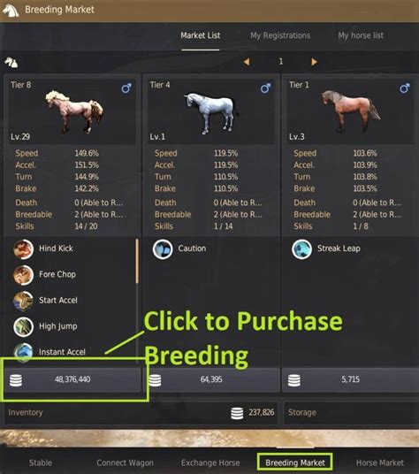 bdo horse breeding guide.